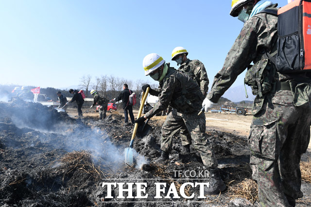 더불어민주당은 싱크탱크인 민주연구원이 선거 공약으로 모병제 도입 검토를 제안한 데 대해 검토할 단계도 아니다라고 선을 그었다. 지난 4월 강원도 고성 지역에서 난 화재의 잔불 제거작업을 벌이고 있는 군인들. /임세준 기자