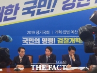  [TF초점] 속도 못 내는 선거제 개혁...與, 제 살 도려낼까