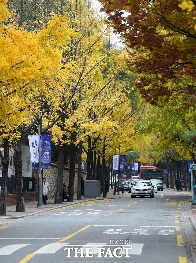 절기상 첫눈이 내린다는 소설인 22일은 전국이 대체로 맑고 평년보다 따뜻하겠다. /더팩트 DB
