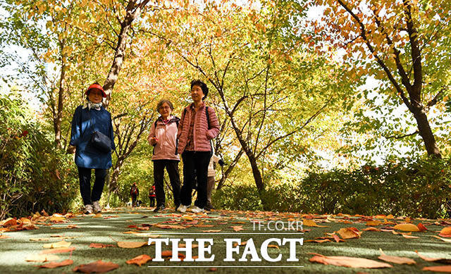 기상청에 따르면 토요일인 11월 23일은 낮 동안 포근한 날씨를 보이겠다. /김세정 기자