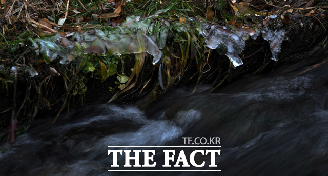 전국적으로 흐리고 체감온도 -2.8도의 쌀쌀한 날씨를 보이는 9일 오전 서울 종로구 청계천에 얼음이 맺혀있다. /임세준 기자