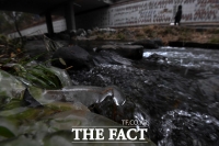 [TF포토] 고드름 맺힌 청계천