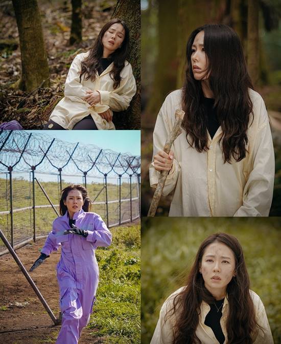 사랑의 불시착에는 손예진, 현빈, 서지혜, 김정현 등이 출연한다. /tvN 제공