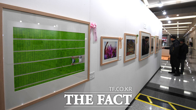 제3회 더팩트 사진 공모전 사진이 더 팩트다! 전시회가 19일 오후 서울 강남구 삼성동 코엑스 무역센터에서 열려 관람객들이 많은 작품을 감상하고 있는 가운데 공모전에 참가해 수상한 많은 작품들이 보이고 있다. /임세준 기자