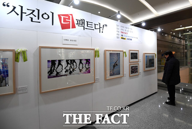 제3회 더팩트 사진 공모전 사진이 더 팩트다! 전시회가 19일 오후 서울 강남구 삼성동 코엑스 무역센터에서 열려 관람객들이 많은 작품을 감상하고 있다. /임세준 기자