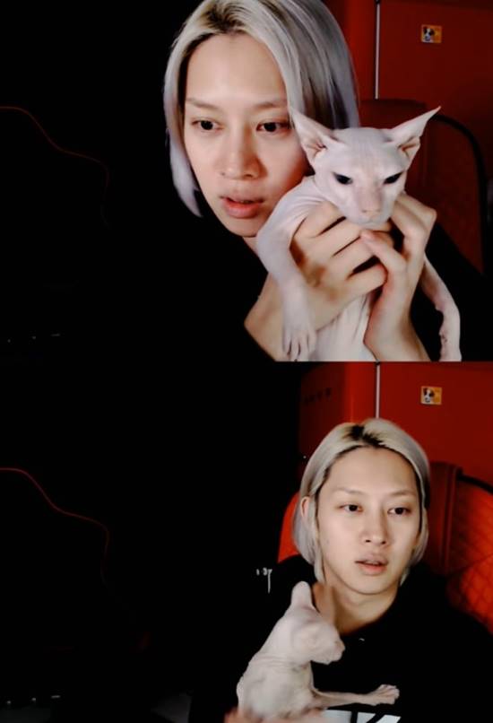 김희철은 지난 29일 유튜브 라이브 방송에서 설리의 고양이를 공개하며 잘 키우고 있다고 말했다. /김희철 유튜브 영상 캡처