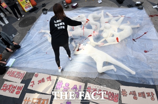 동물권단체 동물해방물결의 돼지 홀로코스트 퍼포먼스가 지난해 11월 서울 중구 명동예술극장 앞에서 열린 가운데 참가자들이 색소를 뿌린 뒤 살처분 당하는 돼지의 퍼포먼스를 진행하고 있다. /남용희 기자