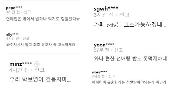 누리꾼들은 엄연한 연예인 사생활 침해라며 비난의 목소리를 높였다. /네이버 뉴스 댓글 캡처