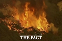  호주 산불, 두 달 넘게 지속...'국가비상사태'
