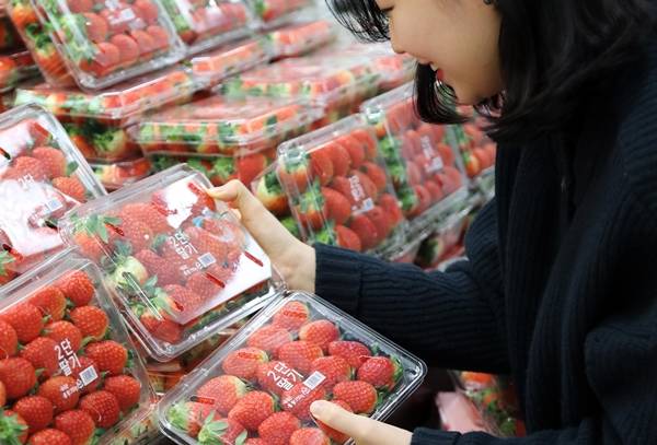 지난해 12월 이마트 딸기 매출액이 과자와 인스턴트 커피를 넘어선 105억 원을 달성했다. /이마트 제공