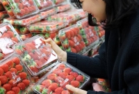  이마트 딸기 매출 100억 원 돌파 '인스턴트 커피·과자 보다 더 팔려'