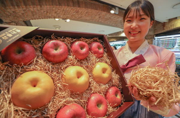 현대백화점은 이번 설 명절부터 친환경 포장재를 포함해 사탕수수로 만든 종이박스를 업계 최초로 도입할 예정이다. /현대백화점 제공