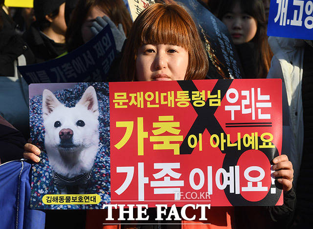12일 오후 서울 종로구 효자동 치안센터 인근에서 개식용 반대 집회가 열린 가운데 동물보호단체 회원들이 팻말을 들고 목소리를 높이고 있다. /이동률 기자
