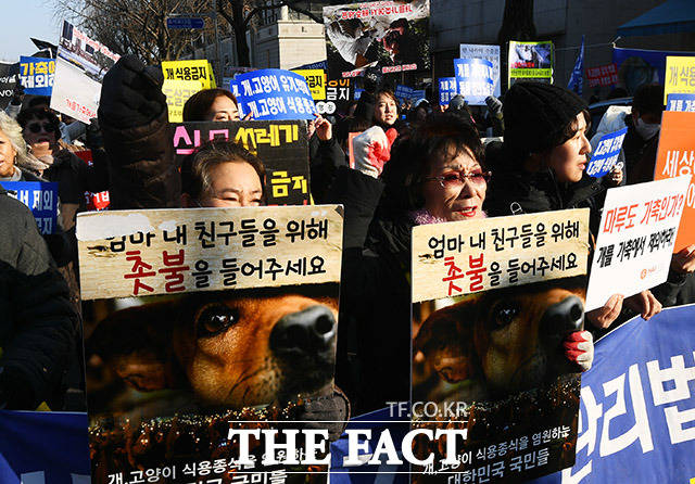 12일 오후 서울 종로구 효자동 치안센터 인근에서 동물보호단체 회원들이 개식용 반대 기자회견을 열고 구호를 외치고 있다. /이동률 기자