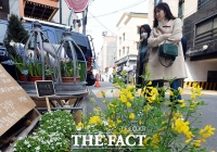  [오늘의 날씨] 평년보다 포근한 '대한'… 큰 일교차 주의