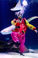 [TF포토] '수중에서 선보이는 제기차기!'