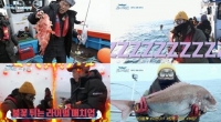  '도시어부2' 김보라, 졸면서도 참돔...이경규 