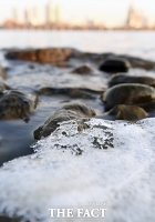 [TF포토] 한강에 반가운 얼음
