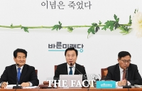 [TF포토] 발언하는 손학규 대표