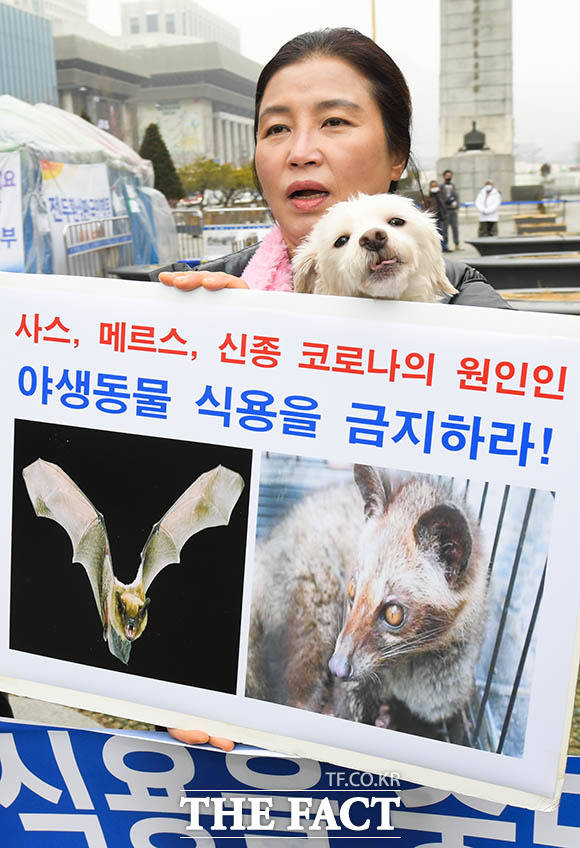 한국동물보호연합 회원이 13일 오후 서울 종로구 광화문광장에서 코로나19의 원인인 야생동물 식용 중단을 촉구하는 기자회견을 연 가운데 한 참가자가 손팻말을 든 채 반려견을 안고 구호를 외치고 있다. /김세정 기자