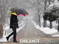 [TF포토] 오랜만에 내리는 함박눈