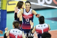 [배구토토] 배구팬 매치 28회차 'KGC인삼공사, IBK기업은행 상대로 우세'