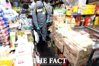 [TF포토] 코로나19 확산 방지, 대림시장 방역