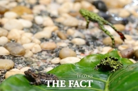  [오늘의 날씨] '경칩' 무색 아침 기온 뚝 꽃샘추위…낮엔 포근