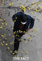 [TF포토] '봄의 전령 산수유 꽃'