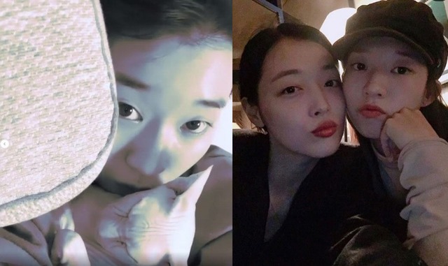 배우 김선아가 절친인 고 설리의 반려묘 고블린을 키우고 있다고 알렸다. /김선아 인스타그램