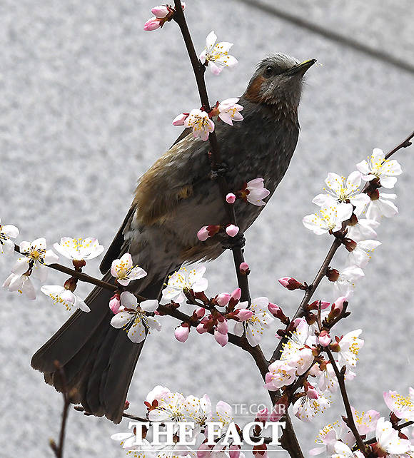 저 보면서 잠시 힐링하고 가세요~