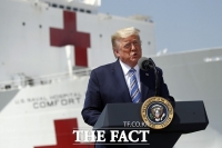  트럼프 '뉴욕 등 강제격리 검토…곧 결정할 것'