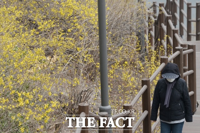 30일 기상청에 따르면 우리나라는 제주도 남서쪽 해상에서 대기 중상층으로 따뜻하고 습한 공기가 유입돼 포근한 날씨가 예상된다. /더팩트 DB