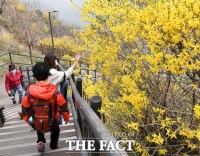  [오늘의 날씨] 서울 한낮 18도, 일교차 크고 미세먼지 '나쁨'