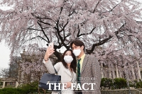 [TF사진관] '덕수궁에 봄이 왔어요'