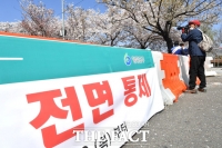 [TF포토] '담고 싶은 벚꽃'