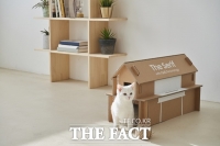  삼성전자, TV 포장재 업사이클링 결정 