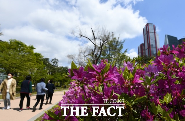 서울 영등포구 여의도공원을 찾은 직장인들이 점심시간을 이용해 봄기운을 만끽하고 있다. /이동률 기자
