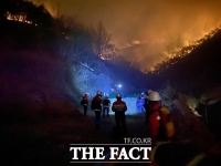  경북 안동 산불로 임야 100㏊ 소실, 인명 피해 없어