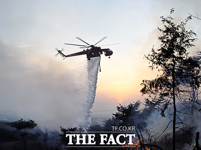 산림당국은 이날 오전 6시 헬기 32대와 장비 215대, 인원 3500여 명을 현장에 투입해 진화 작업을 재개했다. /산림청 제공
