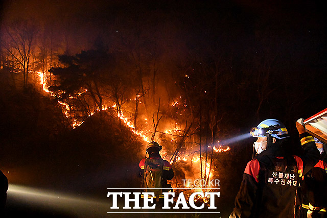 경북 안동시에서 발생한 산불이 사흘째 이어지고 있다. 이번 산불은 지난 24일 오후 3시 39분께 안동시 풍천면 인금리 야산에서 시작돼 25일 낮에 잦아들었다가, 오후부터 초속 8m 안팎의 강풍을 타고 다시 확산됐다. /산림청 제공