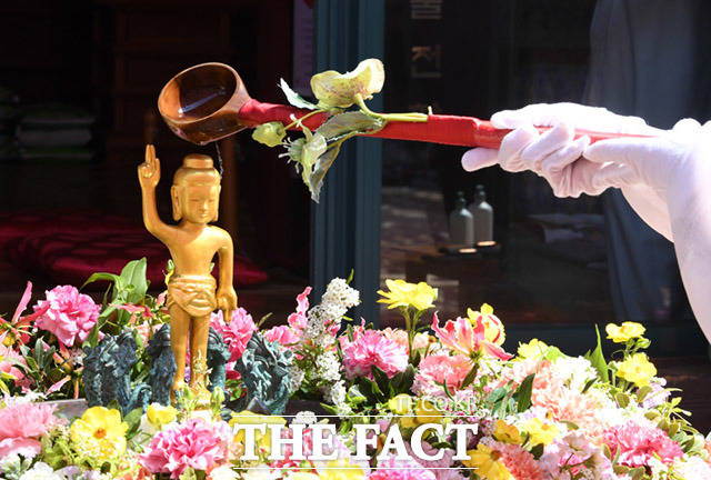 부처님오신날을 앞둔 28일 오전 서울 종로구 조계사에서 교인들이 아기부처님상에 물을부어 씻기는 관불의식을 하고 있다. /임세준 기자