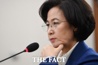  추미애, 손정우 美 송환 청원에 '법원 판결 따를 것'