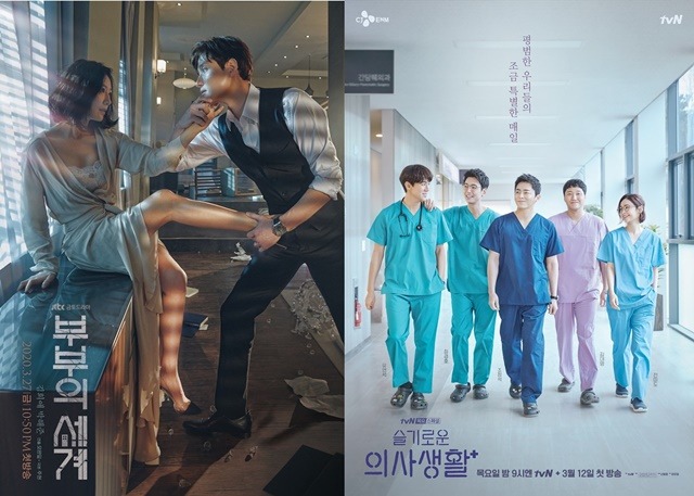 성적은 분명 JTBC 부부의 세계(왼쪽)의 압승이었지만 슬기로운 의사생활은 나름의 템포를 유지하며 특별한 의미들을 남겼다. /JTBC, tvN 제공