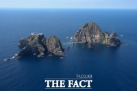  '진단키트 제품명 '독도'로'…靑 '업체가 결정할 사안'