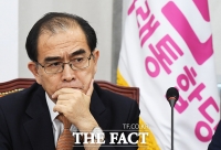 [TF사진관] 고민 깊어진 '북한 전문가' 태영호 의원