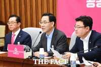 [TF포토] 모두발언 하는 주호영 원내대표