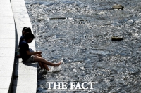 [TF포토] '시원한 청계천'