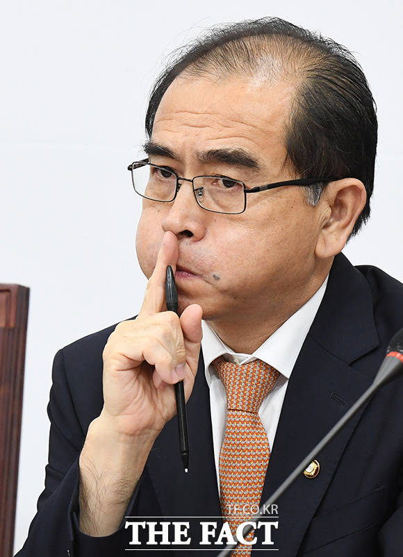 태영호 미래통합당 의원이 29일 탈북자의 헤엄 월북 사건에 대해 귀신 잡는 해병도 월북자는 잡을 수 없는 것입니까라고 비판했다. 태 의원이 지난달 17일 국회에서 열린 통합당 외교안보특위 회의에 참석해 발언하는 모습. /배정한 기자