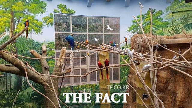 서울대공원은 8월1일부터 그동안 신종 코로나바이러스 감염증(코로나19) 사태로 문을 닫았던 실내동물사와 식물원을 개방한다고 밝혔다. 사진은 실내동물사 열대조류관 내부 모습. /서울시 제공